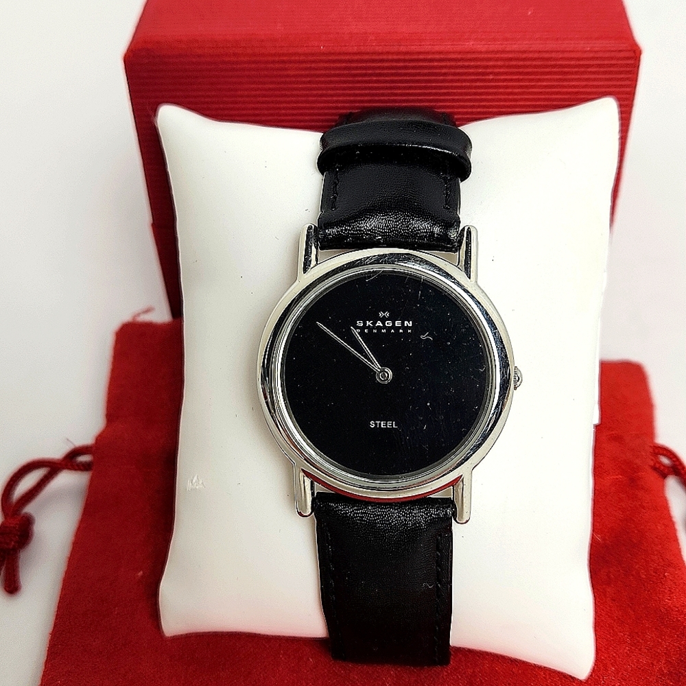 SKAGEN Silver and Black Watch